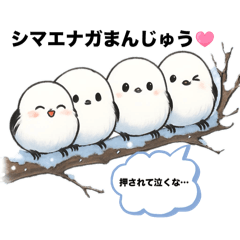 [LINEスタンプ] シマエナガちゃんのクリスマス♡