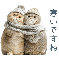 [LINEスタンプ] 毎日使える冬の猫【かわいい・連絡】