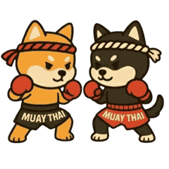 [LINEスタンプ] 仲良しムエタイ柴犬夫婦2