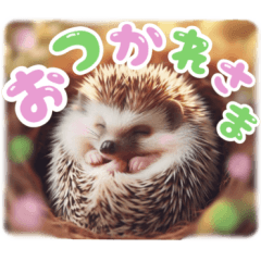 [LINEスタンプ] リアル動物の赤ちゃん♡らぶ♪子犬♡Love7