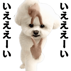 [LINEスタンプ] 踊る！横揺れ界隈ビジョンフリーゼ/犬/いぬ