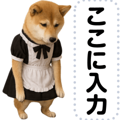 [LINEスタンプ] メイドになった柴犬メッセージスタンプ