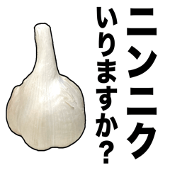 [LINEスタンプ] 敬語ニンニク
