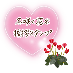 [LINEスタンプ] 冬咲く花＊挨拶スタンプ