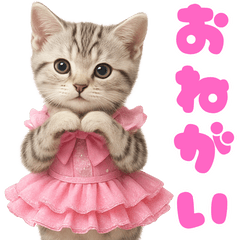 [LINEスタンプ] 【爆笑】アイドルになった子猫＠面白い台詞