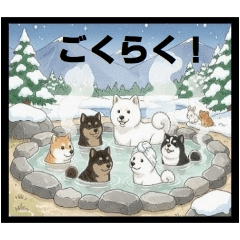 [LINEスタンプ] 可愛すぎる！日本犬たちの癒し系スタンプ