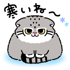 [LINEスタンプ] ゆるっとマヌルちゃん21 冬