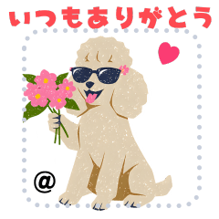 [LINEスタンプ] Cute Animal LINE Stickers 1982