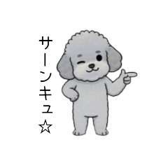 [LINEスタンプ] 煽る・ポジティブトイプードル