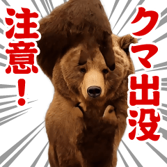 [LINEスタンプ] 踊る！横揺れ界隈/くま/クマ/熊/べアー