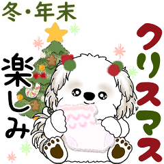 [LINEスタンプ] シーズー犬 2025 「冬・年末」