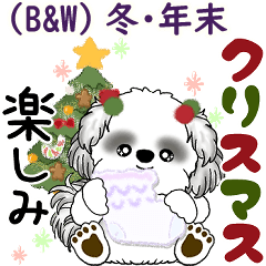 [LINEスタンプ] B＆Wシーズー犬 2025 「冬・年末」