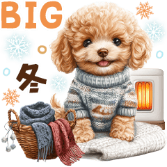 [LINEスタンプ] トイプードルの冬BIGスタンプ