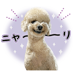 [LINEスタンプ] [ゆかいな仲間たち]