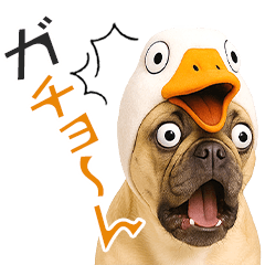 [LINEスタンプ] フレンチなブルさん【ダジャレ】