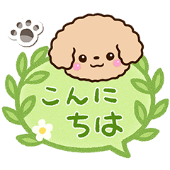 [LINEスタンプ] トイプードル「アプリコット」吹き出し