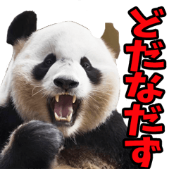[LINEスタンプ] 山形弁☆パンダ