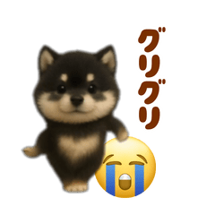 [LINEスタンプ] 動く！踊る豆黒柴