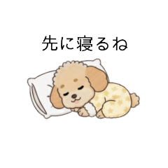 [LINEスタンプ] 家族で使いやすいトイプー(アプリコット)