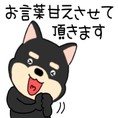 [LINEスタンプ] 【敬語】柴犬のしば吉24