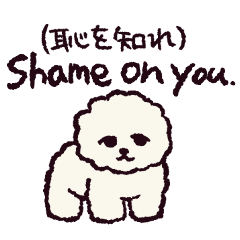 [LINEスタンプ] ビションフリーゼです.