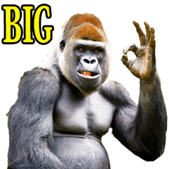 [LINEスタンプ] リアル☆ゴリラ【BIG】