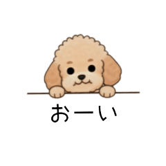 [LINEスタンプ] フランクな会話のトイプー②(アプリコット)