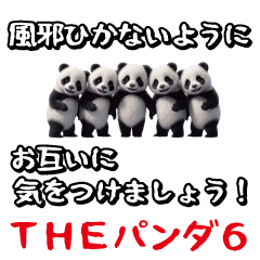 [LINEスタンプ] THEパンダ6