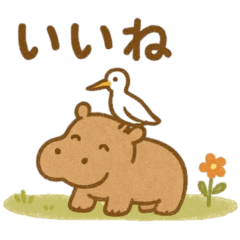 [LINEスタンプ] カバとアマサギのやさしい日々