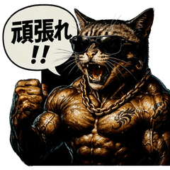 [LINEスタンプ] マッスルキャット！！