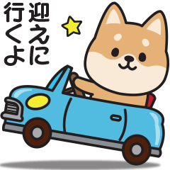[LINEスタンプ] 家族連絡用〇しばいぬのスタンプ2