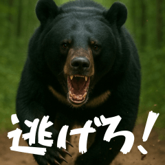 [LINEスタンプ] 熊！熊！熊！スタンプ危険編（日本語）