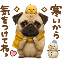 [LINEスタンプ] パグちゃん♡毎日使える犬の日
