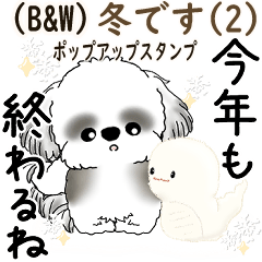 [LINEスタンプ] 飛び出すB＆Wシーズー犬 2025 「冬・年末2」