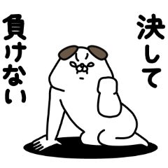 [LINEスタンプ] 全力いぬ決して負けない編