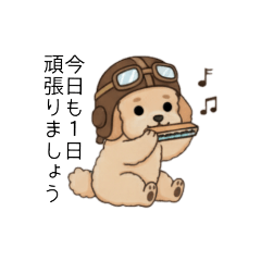 [LINEスタンプ] 使いやすい長文のトイプー(アプリコット)