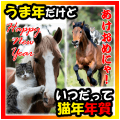 [LINEスタンプ] BIG表示！いつだって猫年気分の年賀スタンプ