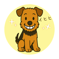 [LINEスタンプ] ウェルシュテリアRudyくんの毎日★