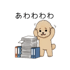 [LINEスタンプ] 仕事で使いやすいトイプー(アプリコット)