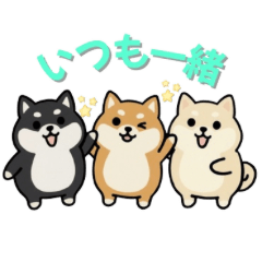 [LINEスタンプ] いつも一緒のまるしばフレンズ