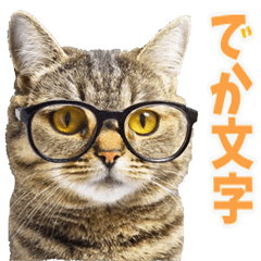 [LINEスタンプ] でか文字☆にゃんこ