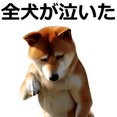 [LINEスタンプ] 動く ふつつかな犬