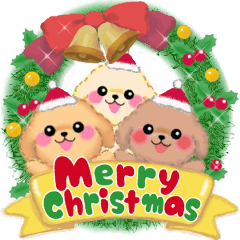 [LINEスタンプ] かわいいトイプードルの冬