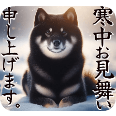 [LINEスタンプ] 黒柴【リアル02】年中つかえる、冬も使える
