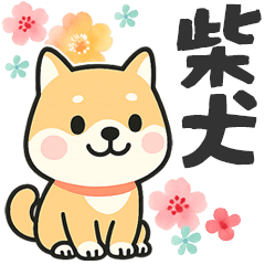 [LINEスタンプ] 柴犬♡長文スタンプ【花と感謝多め】