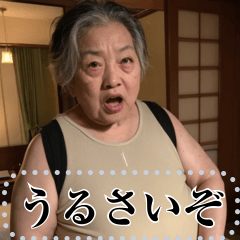 [LINEスタンプ] 気難しいおばさんのメッセージスタンプ