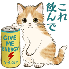 [LINEスタンプ] うちのこいるかな 猫たちの気遣いスタンプ