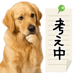 [LINEスタンプ] ゴールデンレトリバー★毎日使える家族連絡