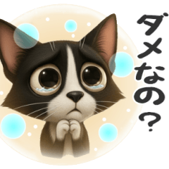 [LINEスタンプ] うるうる瞳の白黒ネコちゃん