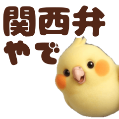 [LINEスタンプ] 関西弁のオカメインコ★日常会話 3D